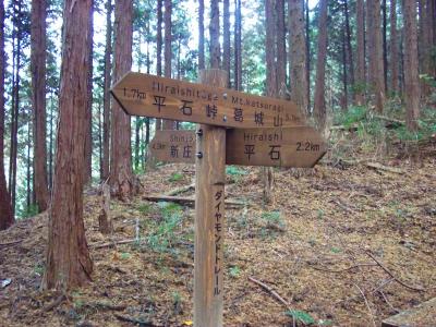 岩橋峠。ダイトレの分岐に出た。ここからダイトレを平石峠のほうへ行く