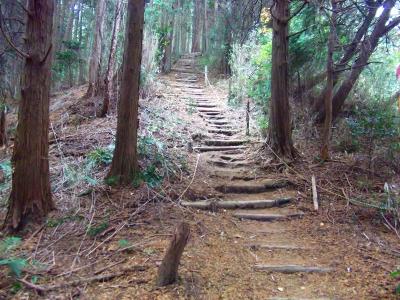 ここから岩橋山の山頂までものすごい階段が続く