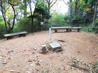 岩橋山山頂(658.8m)に到着。山頂はベンチなどがあって少し広い