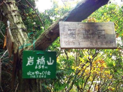 岩橋山山頂のプレートがあった。659mとなっているが切り上げた標高だろう