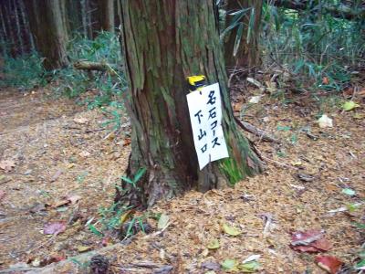 最初は木の後ろにあるこの看板が見えなかったが、山頂から岩橋峠に戻るすぐのところ(階段登りきったあたり)に分岐があった。ここを下っていく