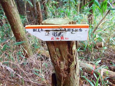 下っていくと胎内くぐり岩への分岐があるので、従ってここを左に行く。この道標はかろうじて「胎内」の文字が見える