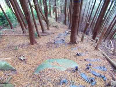 関電道らしき階段を下りていく