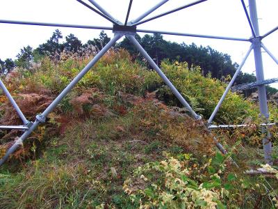 下山途中に通った鉄塔。この鉄塔付近は草やススキで覆われていて踏み跡がほとんど見えなかった