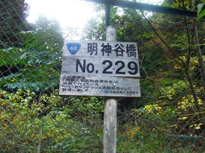 国道480号線のNo.299ポイント。明神谷橋の手前に一台だけ車を止めれる場所があったのでそこに駐車してスタート