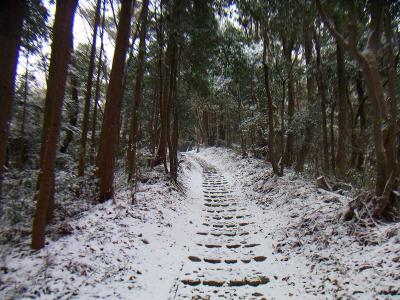 長い階段の終わりが見えた。まあ長いといっても数分だけだけどね