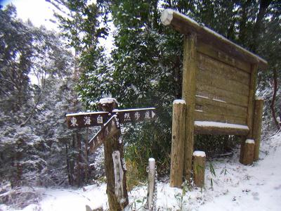 ここで階段が終わって林道との出合。雪は少ないけど少し積もってるのもいい