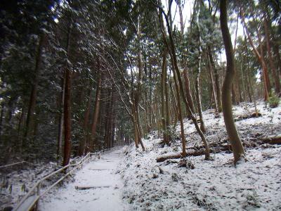 宝池寺からも雪の量が増えると思ったけどそうでもなかった。まあ標高はそこまで変わらないからね
