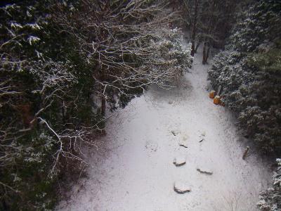 展望台から下を眺めてみた。雪の量が少ないのは仕方ないけど、まあ雪景色が見れただけでもいいかも