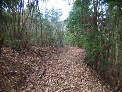 妙見宮跡までこのような道が続く