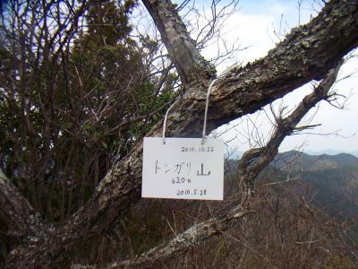 トンガリ山山頂(620m)に到着。木に山頂プレートがかかっていた