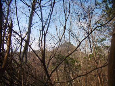 トンガリ部分が見えた。もうひとがんばり登れば山頂につく