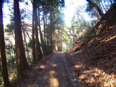 しばらくこのような道が続くので進んでいく