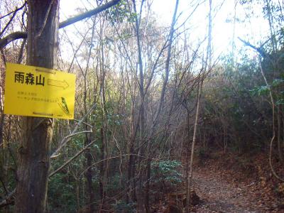 ここではじめて雨森山へのプレートがでてきた。これに従がって右へ行く