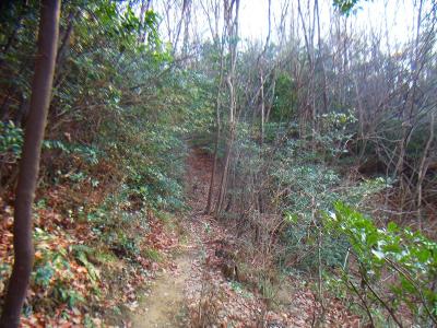 ここからしばらくは、こういう道の登りが続く