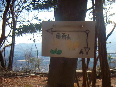 尾根に出たら雨森山へのプレートがあるので従がって左へ。ここからは尾根道となる