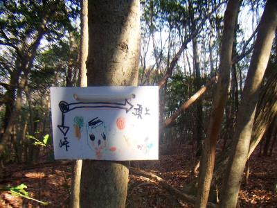 ここもプレートに従って右へ。ここは山頂まで尾根道が続くが広くてわかりにくいからプレートがあるのかも