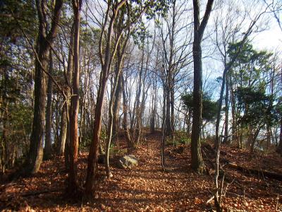 下った先からさらに登っていくとすぐにピークが見える。あのピークが山頂なはず