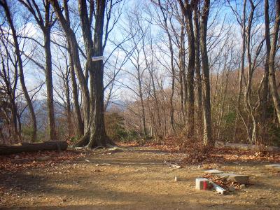 雨森山山頂(383.7m)に到着。山頂は広くてベンチなんかも設置されていた