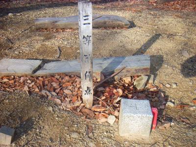 雨森山の山頂三角点。三等三角点らしい