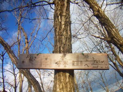 木に雨森山山頂の木で作ったプレートがあった。ずいぶん古そうだけど雨森山という字だけ薄くなっているのはなぜだろう！？