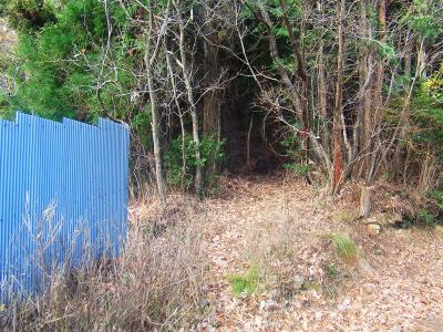 ここが先日登った高ヶ尾山への登山道入口だと思われる。前回はここがわからず迷い、山頂からはここに下りてきた