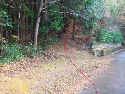 金毘羅山の登山道入口を後ろを向いて撮影した。本来は林道を歩いてくると右だけど、画像ではここの左側を登っていく