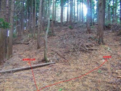 金毘羅宮との分岐。左へ進んでいくと金毘羅山山頂、右へ登ると金毘羅宮。せっかくなので金毘羅宮をピストンする