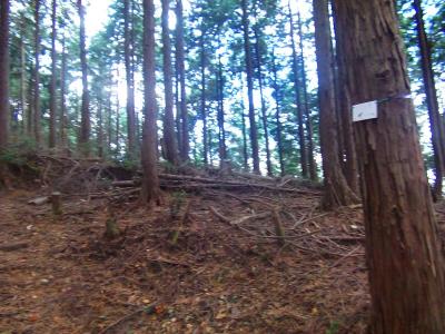 右側の木のプレートには、おそらく「←金比羅宮」と書いていたと思われるが、矢印だけで文字は消えていた