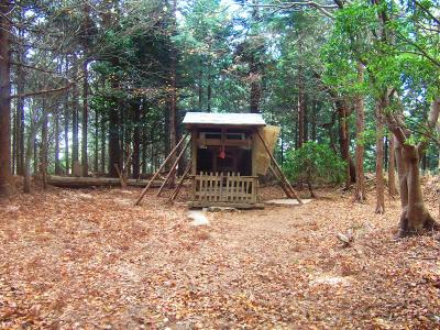 ここが金毘羅宮のようだ。誰も管理してないような祠がポツンとあるだけだった