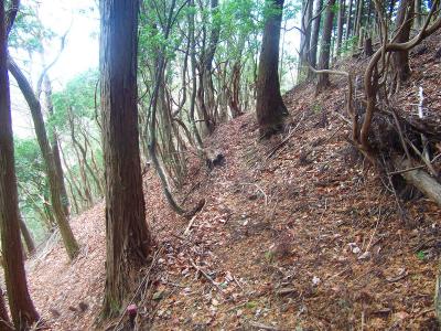 さっきの金毘羅宮との分岐にもどって次は金毘羅山のほうへ登っていく