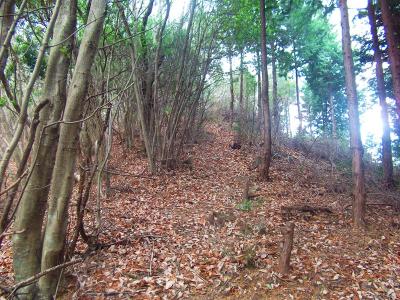 金比羅山山頂手前は少し急な登りになっている