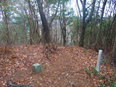 山頂には三角点もあった。ここも測量されていたんだろうか！？