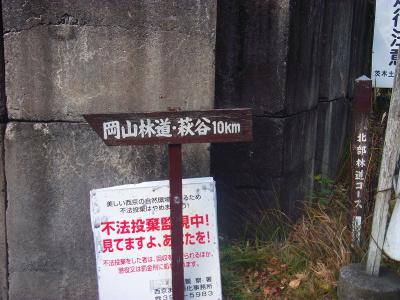 空谷橋から岡山林道、萩谷への道標。林道を10kmも歩いたのかと思った