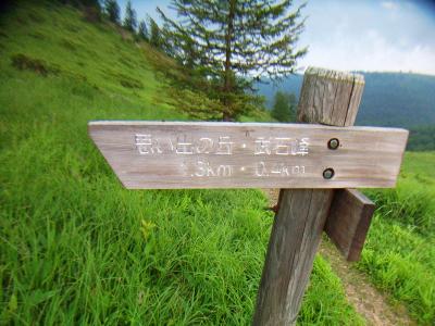 せっかくなので武石峰へピークハントする。0.4kmなのですぐだね