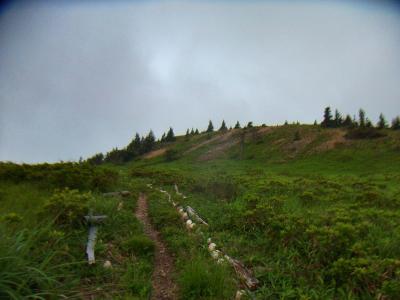 結構な登りだけど大したことはない