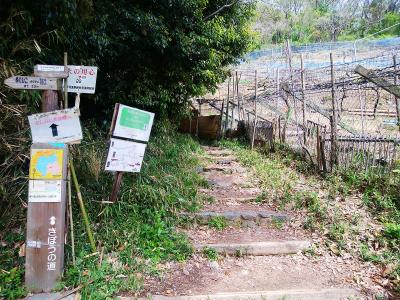 トイレのすぐ先の左側に「きぼうの道」の登山道入口があるので、ここから入山する