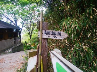 高尾山山頂まで1150mと距離的には短いほうかな
