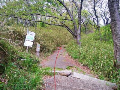 分岐があるけど、あくまできぼうの道で行くので直進する