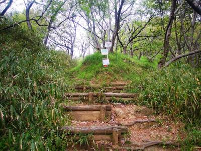 再び分岐があるけど、これはどちらにいっても行けるが左へいくほうが楽らしい