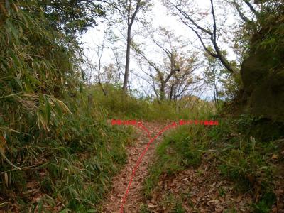 ここでくつろぎの道と合流。左は山頂だが右は少し行くと南パノラマ展望台なので立ち寄る