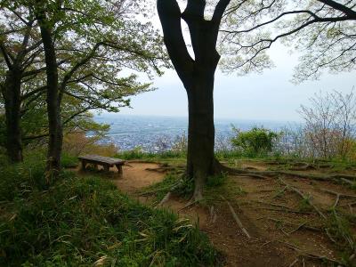 南パノラマ展望台に到着。視界は樹林に遮られて狭いけど展望は良い