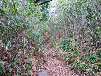 山頂まで少しの間急登が続く。この先にはロープ場などもある