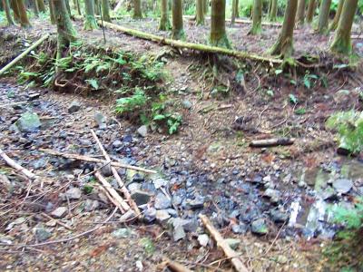 沢筋に道らしきものはあるようだけど、どう考えても違う。でも現在地から考えてみたらこの上の方っぽい