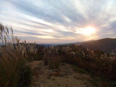 ここはススキが揺らいでいて広々した穴場的な展望地かもしれない