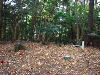 早速、尾根道を進んで高ヶ尾山頂に到着した。山頂は何もないけど三角点とプレートがあった