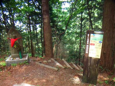 まずはオマケで道路から渓流歩道の綿流ノ滝へ立ち寄ってみる