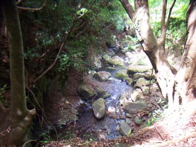 渓流歩道よりこの沢へ下っていく