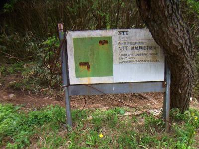 和泉葛城山の山頂付近。和泉葛城山の一等三角点から大石ヶ峰へはここから入ってもいけるけど道路を歩いていく