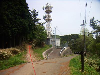 しばらく道路を歩いていくとこのような分岐がある。この左側から入山する